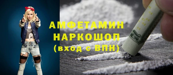 молекула духа Ладушкин