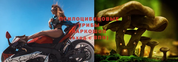 герыч Куйбышев