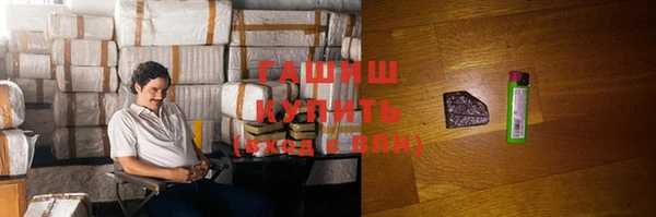 крисы Кулебаки