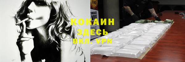 молекула духа Ладушкин