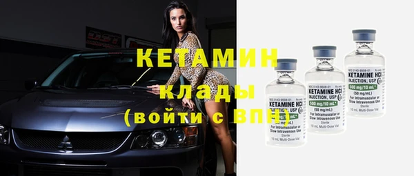крисы Кулебаки