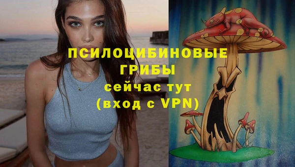 ГАЛЛЮЦИНОГЕННЫЕ ГРИБЫ Лабытнанги