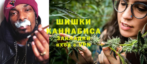 ГАЛЛЮЦИНОГЕННЫЕ ГРИБЫ Лабытнанги
