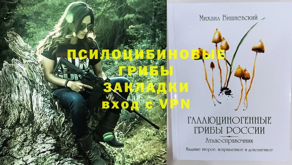 крисы Кулебаки
