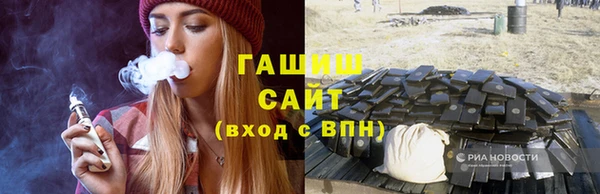 крисы Кулебаки